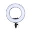 Picture of Godox LR180 Daylight Ringlight (Black)