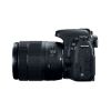 Picture of Canon EOS 77D DSLR Camera with 18-135mm USM Lens