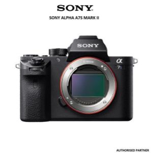 Picture of Sony Alpha A7S Mark II