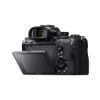 Picture of Sony Alpha a7R III Mirrorless Digital Camera (Body Only)