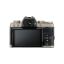 Picture of FUJIFILM X-T100 Mirrorless Digital Camera with 15-45mm Lens (Gold)