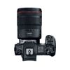 Picture of Canon EOS R Mirrorless Digital Camera with 24-105mm Lens