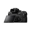 Picture of Sony Alpha a7 II Mirrorless Digital Camera (Body Only)