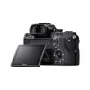 Picture of Sony Alpha a7S II Mirrorless Digital Camera (Body Only)