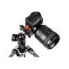 Picture of Manfrotto Befree Advanced Travel Aluminum Tripod with 494 Ball Head (Lever Locks, Sony Alpha Edition)