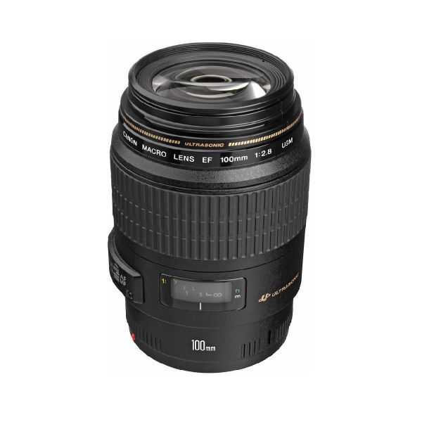 Canon EF 100mm f/2.8 Macro USM Lens | Future Forward