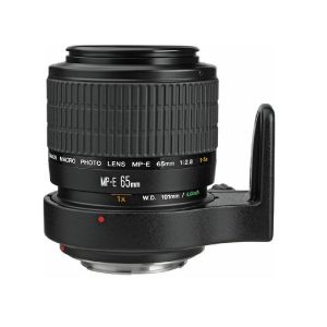 Picture of Canon MP-E 65mm f/2.8 1-5x Macro Photo Lens