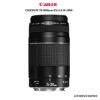 Picture of Canon EF 75-300mm f/4-5.6 III Lens