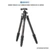 Picture of Benro Travel Flat C1190T 5-Section Carbon Fiber Tripod