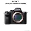 Picture of Sony Alpha a7S II Mirrorless Digital Camera