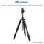 Picture of Leofoto Traveller LE-324C Carbon Fiber Tripod & CB-46 Ball Head
