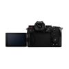 Picture of Panasonic Lumix DC-S5 Mirrorless Digital Camera with 20-60mm Lens