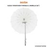 Picture of Godox Transparent Parabolic Umbrella (65")
