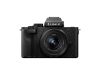 Picture of Panasonic Lumix DC-G100 Mirrorless Digital Camera with 12-32mm  (G100)