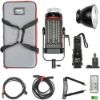Picture of Aputure Light Storm C300d Mark II LED Light Kit with Gold Mount Battery Plate
