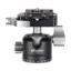 Picture of Leofoto LH-30LR Ball Head with NP-50 Plate