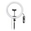 Picture of Digitek LED Ring Light 38cm (15 inch) RGB with Stand for YouTube