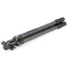 Picture of Leofoto LS-323C+LH-40 Professional Carbon Fiber Tripod with Ball Head