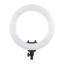 Picture of Digitek Platinum Ring Light DPRL 18
