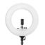 Picture of DIGITEK 18 inch Professional LED Ring Light (DRL-18)