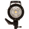 Picture of Godox SK300II-V Studio Flash Monolight (2-Light Kit)